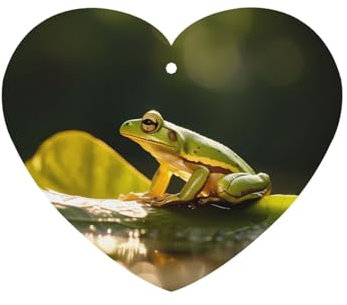 Aroma-Diffusor in Herzform mit Frosch-Motiv, 6 Stück, zum Aufhängen, Tablette, Auto-Innendekoration, Schrank, Schuhschrank, Dufterfrischer