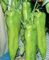 200 Samen Riesen Gewürze Spicy Red Chili Hot Pepper Samen Pflanzen Topf Bonsai-Garten Hof Balkon Pflanzensamen der neuen Ankunfts-12