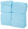 Youyijia 100 Stück Windeln Für Haustierwelpen 60x40cm Trainingsmatte Für Welpen Welpentoilette Einweg-Pflegepad Für Haustiere Für Haustierwelpen