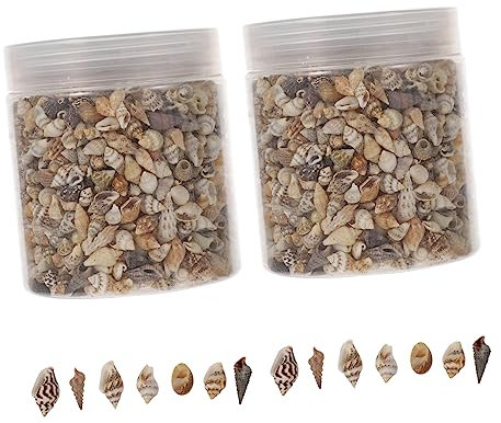 COHEALI Natürliche Kleine Meeresschneckenschalen DIY Epoxidharz-füllung Für Handwerksprojekte Schmuckherstellung Geschenkbox-Dekoration Strand Meeresthemen
