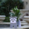 Gochoi Petit Jardinière Pot Cadeaux Schnauzer pour Les Femmes décor de Planteur Schnauzer Nain Chien Pot de Fleur Jardin Exterieur Intérieur PVC pour Plante Pot pour Pot Succulent,S Schnauzer Grey