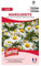Graines de reine-marguerite blanche