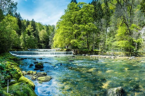 Muralo Tapete Vlies Wald, Bäume, Wasserfall, Natur, XXL - 460x300 cm | Stimmungsvolle Fototapete, hochauflösender Druck, edle Optik - ideal für Wohnzimmer und Schlafzimmer, Eine ruhige Waldoase