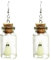 GAUEIOUR Glow in Dark Ghost Cute Ghost in a Bottle Earrings Halloween Ghost Costume Accessories Gothic Adopt A Ghost Earrings