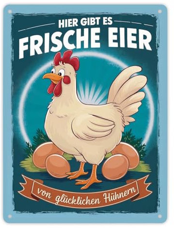 Frische Eier von glücklichen Hühnern Metallschild XL in 21x28 cm Mit Huhn mit weißem Federkleid und rotem Kamm auf robustem Schild ideal für den Hofladen