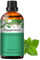 PHATOIL Pfefferminzöl Ätherisches Öl Reine 30ML, Ätherische Öle für Diffuser Erstklassige Qualität, Aroma Duftöl Pfefferminze Öl für Kerzen, Duftlampe, Peppermint Oil