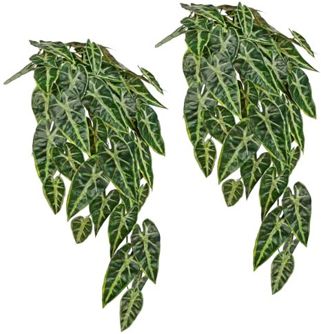 Briful 2 plantas artificiales colgantes de alocasia falsa para pared, plantas artificiales colgantes para decoración del hogar, cocina, baño, estante