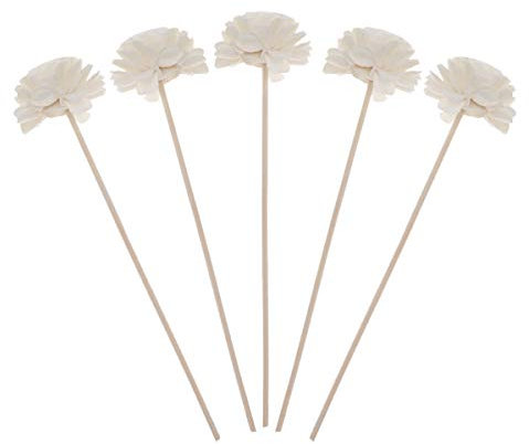 SUPVOX 5pcs rotin Roseau diffuseur Fleur Huile Essentielle roseaux parfumés bâtons diffuseur d'huile Parfum pour Chambre Salle de Bains Salon Bureau