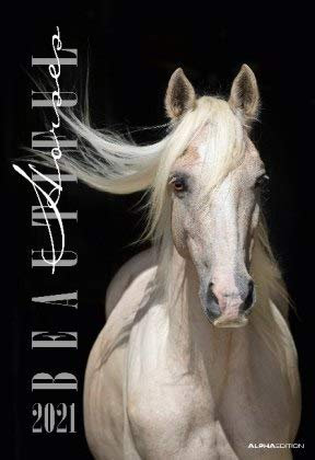 Beautiful Horses - Kalender 2021 - Alpha Edition-Verlag - Wandkalender mit anmutigen Pferden - 33,8 cm x 50 cm