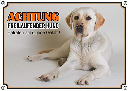 Petsigns Hundeschild - Labrador Retriever - Warnschild Premiumqualität - uv - beständig, DIN A3
