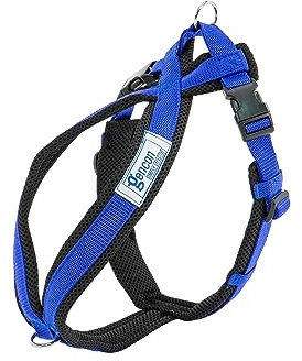 Gencon Airmesh-Geschirr, Größe M, Blau