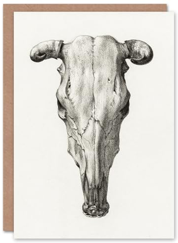 Artery8 Jean Bernard Art Card Skull of a Cow Pencil Drawing