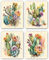 DXOAGXQ Kaktus-Poster, Leinwand, Wandkunst, Kaktus-Dekor, Kakteen, botanische Drucke, grüne Blumen und Pflanzen, Badezimmer-Posterdruck, Damen, Wohnung, Büro, modisches Geschenk (20,3 x 25,4 cm,