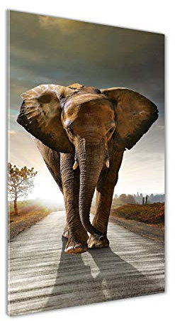 Tulup Glas-Bild Wandbild aus Glas - Wandkunst - Wandbild hinter gehärtetem Sicherheitsglas - Dekorative Wand für Küche & Wohnzimmer 50x100 - Tiere - Schlendernder Elefant - Braun