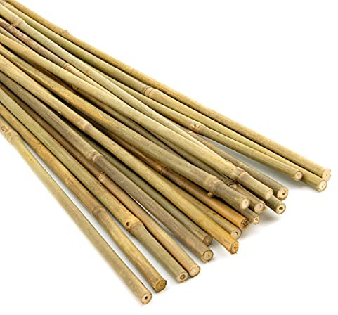 Pllieay piquets en Bambou épais Naturel piquets de Jardin tiges de Bambou pour Supports de Plantes de Jardinage intérieur, 45 cm
