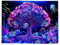 MytaYt Baum des Lebens Wandteppich Mandala Fluoreszenz Uv Wandteppich Lebensbaum Wandtuch Psychedelic Mond Sonne Wanddeko für Schlafzimmer, Wohnzimmer, Tagesdecke, Zimmer(150x200cm)