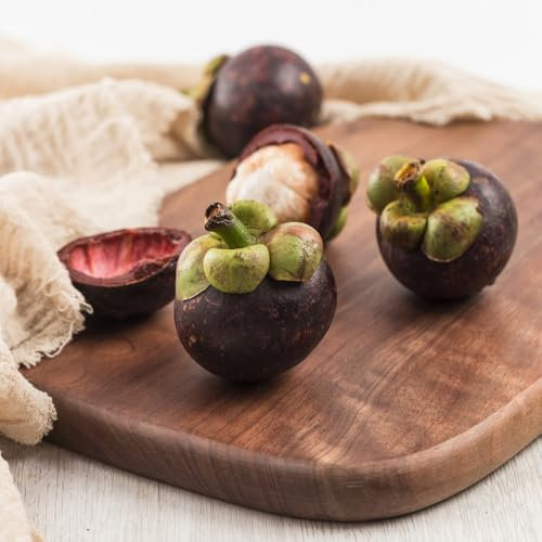 Mangostane samen balkon pflanze obstbäume schattenpflanzen winterhart pflanzensamen exotische früchte pflanzen winterhart draußen geschenk für gartenliebhaber, Mangostanbaum 50pcs