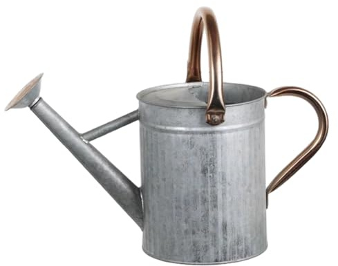 Regadera de Acero Inoxidable de 1, 3 galones/5 L – Regadera de Metal con Boquilla extraíble y 2 Asas para Plantas de Exterior e Interior, Plateada