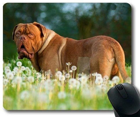 Gaming-Mauspads, Taco Dog Dogs teras, Präzisionsnaht, strapazierfähiges Mauspad