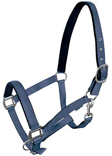 York Pferde Halfter Fluo weich unterlegt Stallhalfter Weidehalfter Reithalfter (Cob, Jeansblau)
