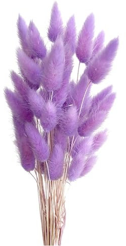 Yeehliny Pflanzenstiele, ländlicher Stil, Hasenschwanz Trockenblumen Deko ewig haltbar Pampasgras & getrocknete Blumen Pampasgras Trockenblumenstrauß Vase Deko,50 Stück (Violett)