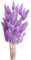 Yeehliny Pflanzenstiele, ländlicher Stil, Hasenschwanz Trockenblumen Deko ewig haltbar Pampasgras & getrocknete Blumen Pampasgras Trockenblumenstrauß Vase Deko,50 Stück (Violett)
