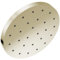 Delta - Wasserhahn 52160-PN-PR Universal-Duschkomponenten Duschkopf, Lumicoat poliertes Nickel, 1,75 GPM Wasserdurchfluss