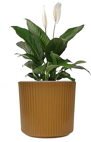 Sutars 15CM Brown Plastic Plant Pots With Drainage, Self Watering Indoor Flower Pots