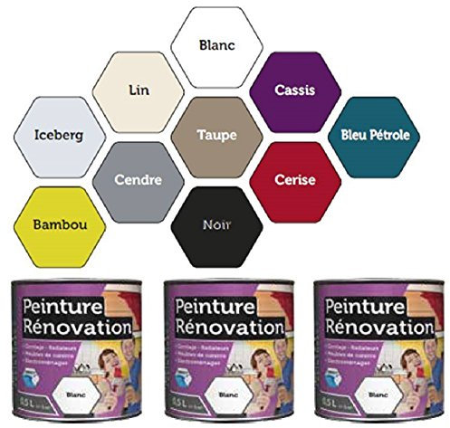 Peinture 0,5 Litre NOIR Spécial rénovation carrelage cuisine radiateur