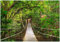 Wallario Vliestapete Fototapete Hängebrücke im Urwald grüner Dschungel - Wandtapete Größe: 200 x 140 cm