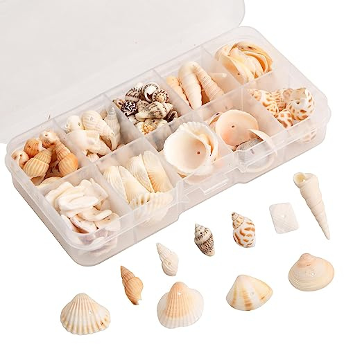 Wisebom 1 Set Gemischte Muscheln Ocean Spiral Seashells Natürliche Muschel perlen ZubehöR FüR Muschelketten Ocean Beach Conch Muscheln für Heimdekoration