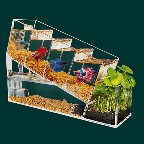 UPWONEC Acryl Betta Fischaquarium, Transparentes Betta -Fischtank, Büroschreibtisch -Tisch -Tisch -Fischtank, Moderne Elegante Goldfischschale, Kleiner Fischtank Mit Filtersystem