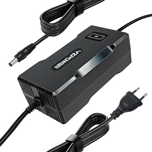 YZPOWER Cargador de patineta eléctrica de 54.6V 4A, Adecuado para Cargar baterías de Litio de 48V (Bicicleta eléctrica, Scooter eléctrico, Hoverboard, smartgyro) equipados con Conector DC5.5*.21 mm.
