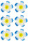 Oblique Unique® 6X Blumen Haarspangen Haarclips für Damen Haarschmuck Accessoires Sommer Garten Strand Hawaii Party Feier JGA Hochzeit Karneval Fasching - Farbe Wählbar (Blau)