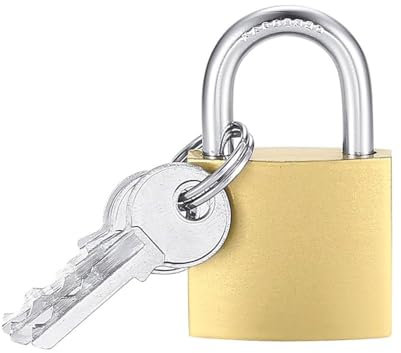 Paluplus Candado de cilindro de metal de 40 mm, candado de seguridad de arco con 3 llaves, para cercas exteriores, caja de herramientas, armarios, maletas, -1961