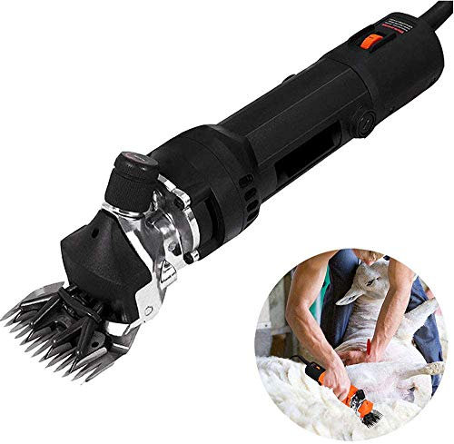 ROLTIN Cisailles à Moutons Tondeuses électriques Professionnelles Robustes, tondeuses électriques à Moutons, pour raser la Laine de Fourrure des Moutons, Animaux de Ferme, Noir