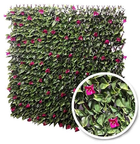 Treillis Extensible BOUGAINVILLIER 1mx3m