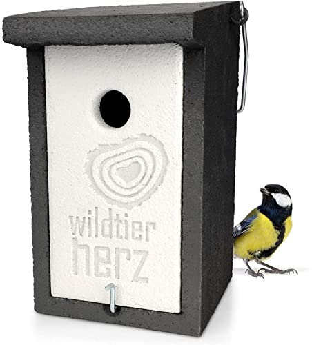 Cuore di Animali Selvatici | Nido per Cinciallegra in Legno Cemento - Casetta Uccellini, Uccelli Selvatici da Esterno con Foro di Ingresso da 32 mm