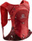 SALOMON Xt 6 Rucksack, Goji Berry/Madder Brown (Mehrfarbig), NS
