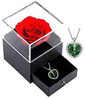 xuehaostore Rosa Eterna con Collana, Portagioie a Fiore Conservato, Regalo di Gioielleria per Donna Regalo di Compleanno/Natale/di San Valentino (Silver-Green)