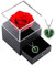 xuehaostore Rosa Eterna con Collana, Portagioie a Fiore Conservato, Regalo di Gioielleria per Donna Regalo di Compleanno/Natale/di San Valentino (Silver-Green)