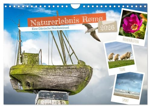 Naturerlebnis Rømø (Wandkalender 2026 DIN A4 quer), CALVENDO Monatskalender: Tauche ein in die malerische Landschaft der Dänischen Nordseeinsel und ... Natur verzaubern. (CALVENDO Orte)