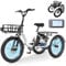 MOONCOOL Elektro-Dreirad für Erwachsene, Elektrofahrrad 250 W, herausnehmbarer Akku, 3 Räder Elektrofahrrad für Erwachsene (Echtes Weiß)