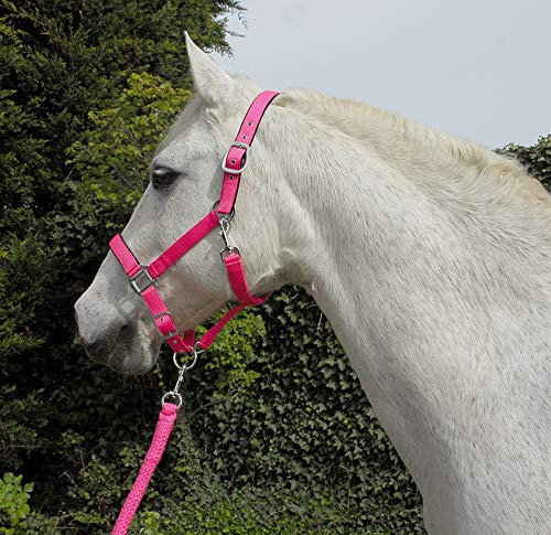 Rhinegold Carnival Headcollar & Rope Karnevals-Halfter und Seil, Hellrosa, Cob