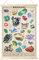 Vintage-Poster mit Mineralproben und Kristallsteinen, Wandkunst, bunt, rustikaler Stil, Mineralproben, Wandbehang, Illustrative Referenztabelle, Poster für Wohnzimmer, Dekorrahmen, 39.9 x 69.9 cm