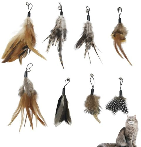 Cosswe 8 Stück Cat Feather Toys Ersatz Katzenspielzeug Feder Katzen Federspielzeug für Katzen inklusive Nachfüllungen für natürliche Katzenfedern