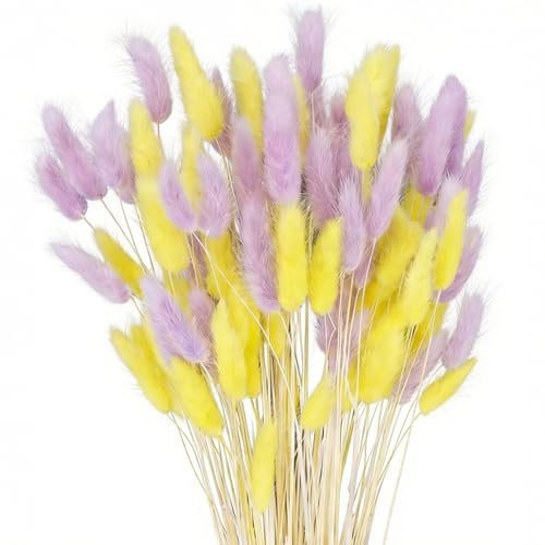 100 Pcs Yellow and Purple Bunny Tails Dried Flowers