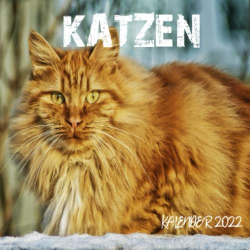 Katzen Kalender 2022: Das lustige Geschenk für Männer Frauen Freunde Kollegen Weihnachten Geburtstag Valentinstag & Mehr (Mit Deutschen Feiertagen)