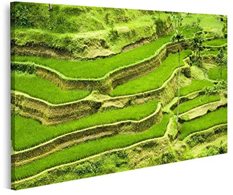islandburner Bild auf Leinwand Reisterrasse Bali Bilder Wandbilder Poster INNO-1K