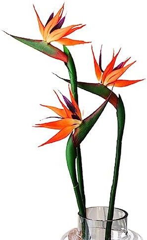 HAOSHICS 3 Stück künstliche Himmel-Vogelblumen, künstlicher Paradiesvogel, Strelitzia, Kunstseide, Pflanzen für Zuhause, Büro, Hochzeit, Tischdekoration (klein, Sonnenuntergang)